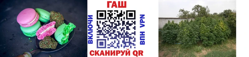 Canna-Cookies конопля  Пудож 