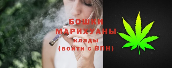 каннабис Новозыбков