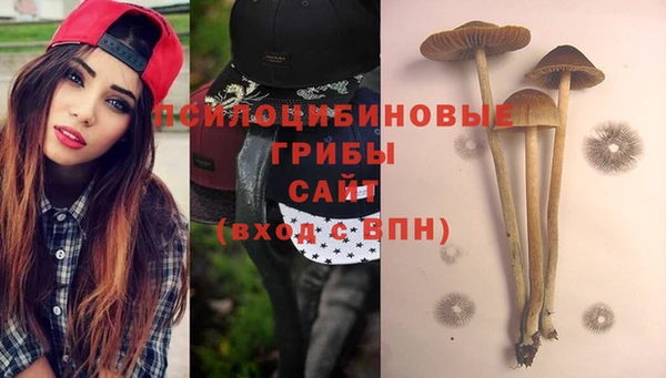 каннабис Новозыбков