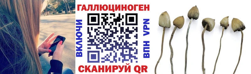 Галлюциногенные грибы GOLDEN TEACHER MEGA как войти Пудож