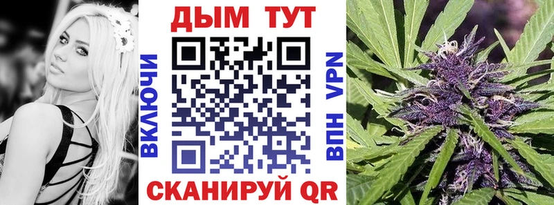 Бошки Шишки SATIVA & INDICA Пудож